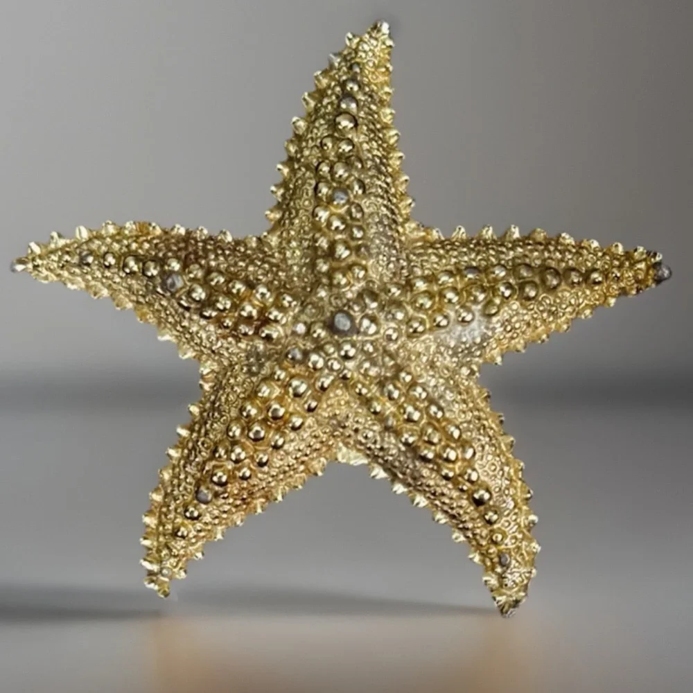 Vintage aged, goldtone raised Starfish Brooch Pin